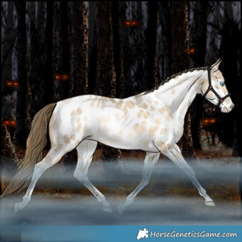 Horse Color:Bay Snowdrop Dun Tobiano Appaloosa Rabicano 