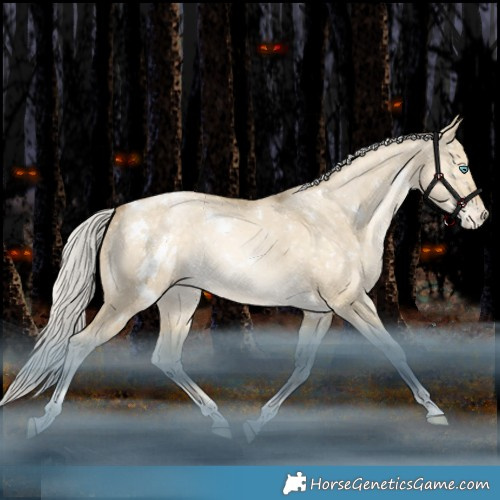 Horse Color:White Spotted Silver Brown Snowdrop Pearl Dun Tobiano Appaloosa Rabicano