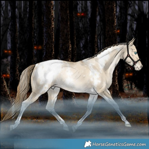 Horse Color:White Spotted Grullo Snowdrop Pearl Tobiano Appaloosa Rabicano 