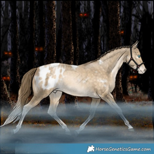 Horse Color:White Spotted Bay Snowdrop Tobiano Appaloosa Rabicano 