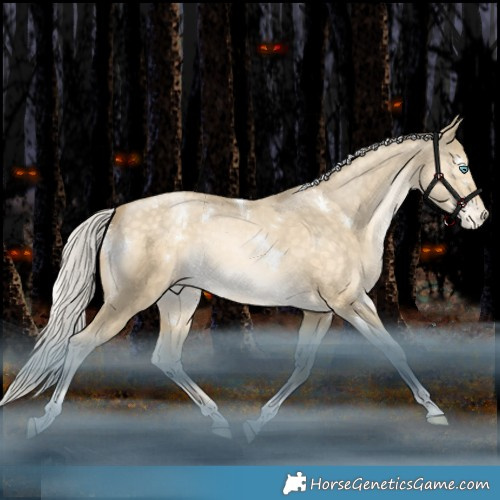 Horse Color:White Spotted Silver Bay Snowdrop Dun Tobiano Appaloosa Rabicano