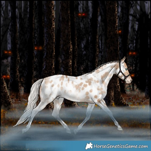 Horse Color:White Spotted Silver Brown Pearl Dun Tobiano Appaloosa Rabicano 