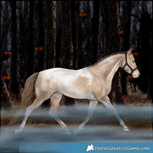 Horse Color:Bay Pearl Dun Tobiano Appaloosa Rabicano 