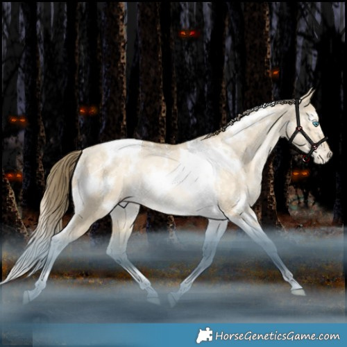 Horse Color:White Spotted Bay Snowdrop Dun Tobiano Appaloosa Rabicano