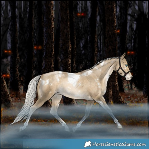 Horse Color:White Spotted Silver Black Snowdrop Pearl Tobiano Appaloosa Rabicano 