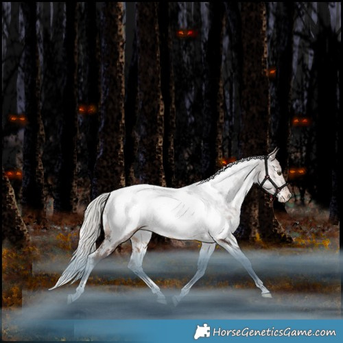 Horse Color:White Spotted Silver Bay Tobiano Appaloosa Rabicano 