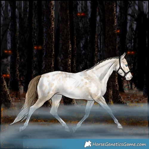Horse Color:White Spotted Bay Snowdrop Dun Tobiano Appaloosa Rabicano 