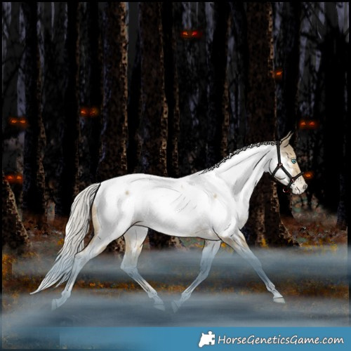 Horse Color:White Spotted Silver Bay Snowdrop Tobiano Appaloosa Rabicano 