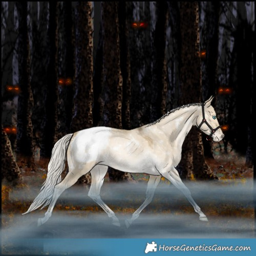 Horse Color:White Spotted Silver Grullo Snowdrop Pearl Appaloosa Rabicano 