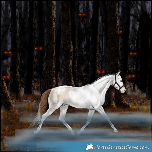 Horse Color:White Spotted Bay Pearl Dun Tobiano Appaloosa Rabicano 