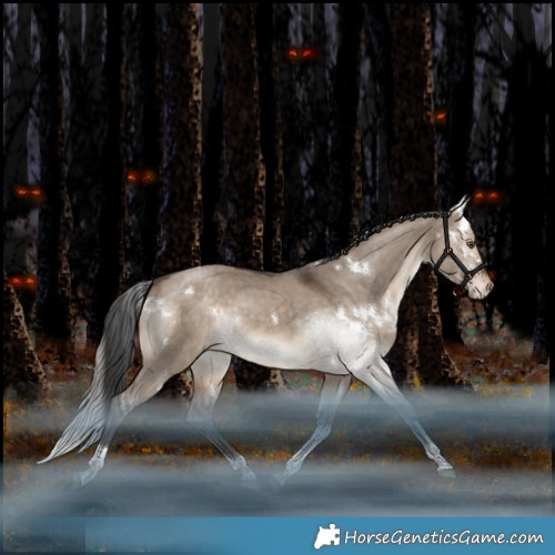 Horse Color:White Spotted Bay Dun Tobiano Appaloosa Rabicano 