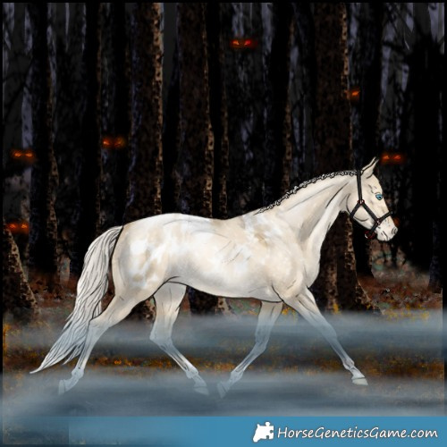 Horse Color:Silver Bay Snowdrop Pearl Dun Tobiano Appaloosa Rabicano 