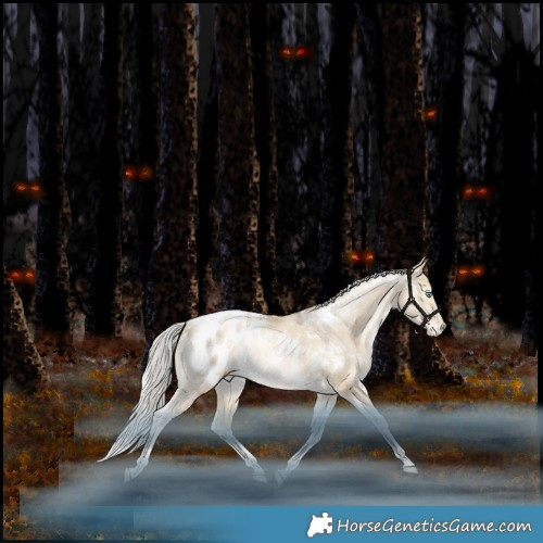 Horse Color:White Spotted Silver Bay Snowdrop Pearl Dun Tobiano Appaloosa Rabicano 