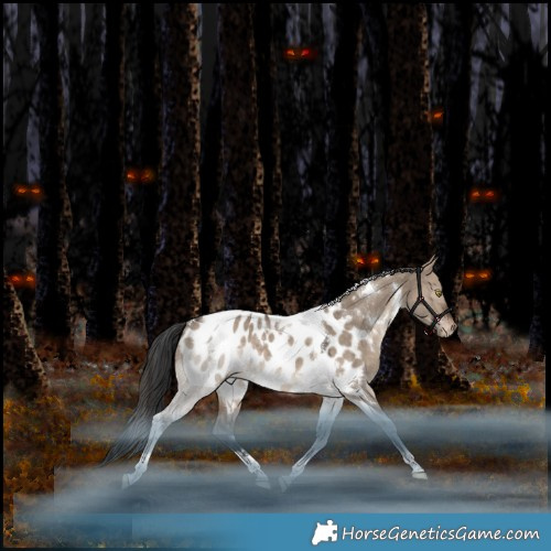 Horse Color:White Spotted Bay Dun Tobiano Appaloosa Rabicano 