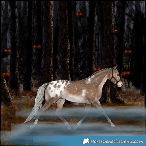 Horse Color:Silver Bay Dun Tobiano Appaloosa Rabicano 