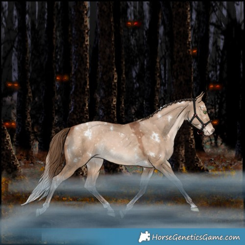 Horse Color:White Spotted Bay Pearl Dun Appaloosa Rabicano 