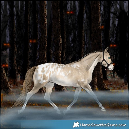 Horse Color:Black Snowdrop Pearl Tobiano Appaloosa Rabicano 