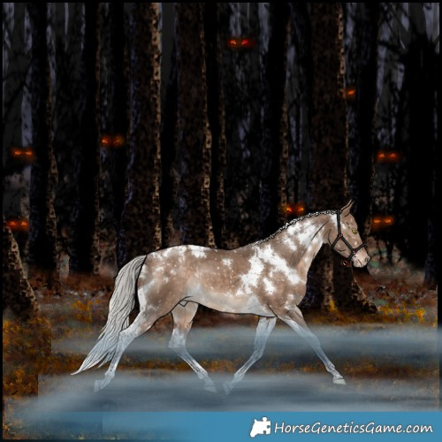 Horse Color:White Spotted Silver Bay Dun Tobiano Appaloosa Rabicano 