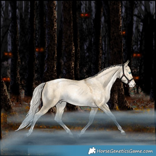 Horse Color:White Spotted Silver Brown Snowdrop Pearl Dun Appaloosa Rabicano 