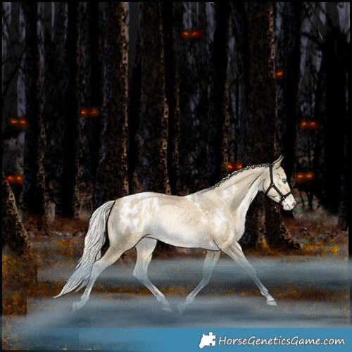 Horse Color:White Spotted Silver Brown Snowdrop Pearl Dun Appaloosa Rabicano 