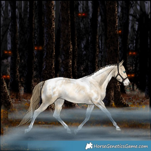 Horse Color:White Spotted Brown Snowdrop Pearl Dun Tobiano Appaloosa Rabicano 