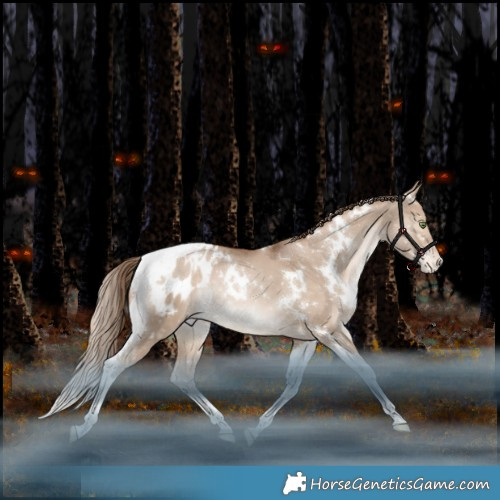 Horse Color:White Spotted Bay Pearl Dun Tobiano Appaloosa Rabicano 