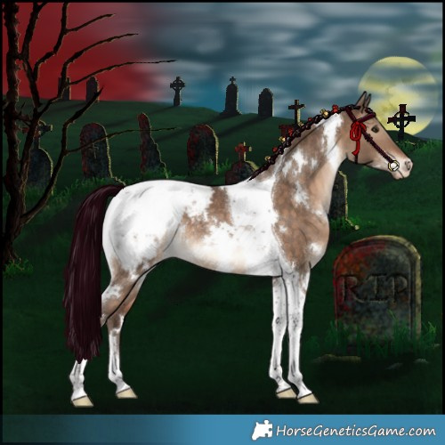 Horse Color:White Spotted Silver Brown Dun Tobiano Appaloosa Rabicano 
