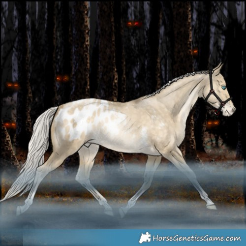 Horse Color:Silver Bay Snowdrop Pearl Dun Tobiano Appaloosa Rabicano 
