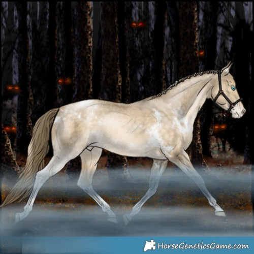 Horse Color:White Spotted Bay Snowdrop Pearl Tobiano Appaloosa Rabicano 