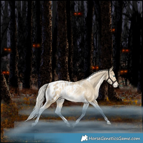 Horse Color:Silver Grullo Snowdrop Tobiano Appaloosa Rabicano 