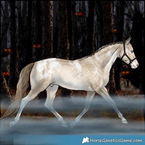 Horse Color:White Spotted Brown Snowdrop Tobiano Appaloosa Rabicano 