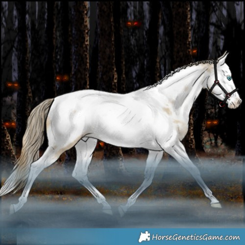 Horse Color:Grullo Snowdrop Splash Tobiano Appaloosa Rabicano 