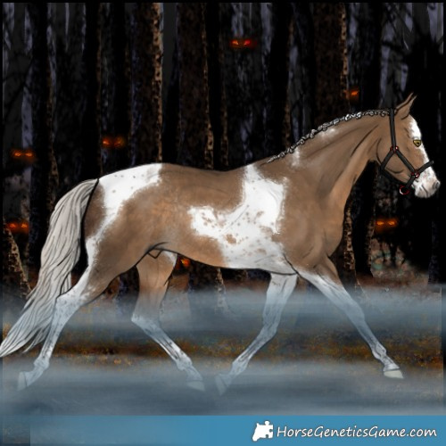 Horse Color:Gray Silver Bay Dun Splash Tobiano Rabicano 