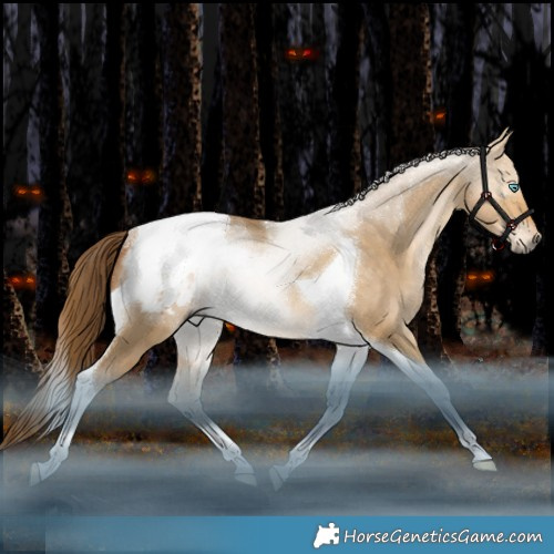 Horse Color:Gray Bay Snowdrop Dun Tobiano Appaloosa Rabicano 