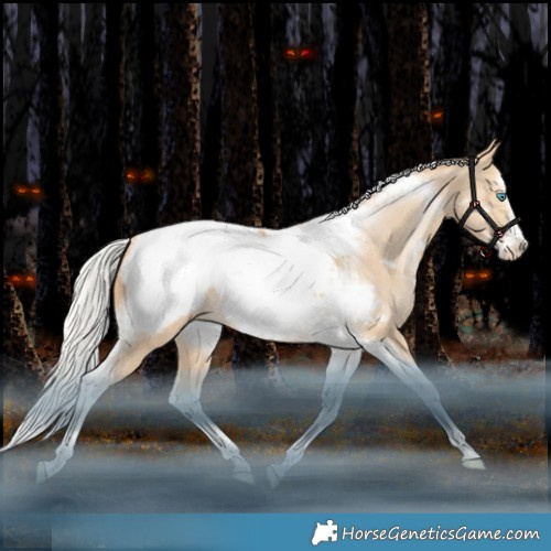 Horse Color:Silver Smoky Black Snowdrop Splash Tobiano Frame Appaloosa Rabicano 
