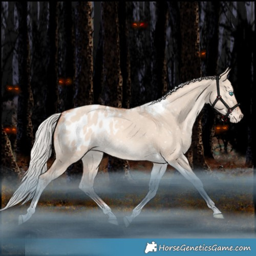 Horse Color:Silver Sable Champagne Dun Tobiano Appaloosa Rabicano 