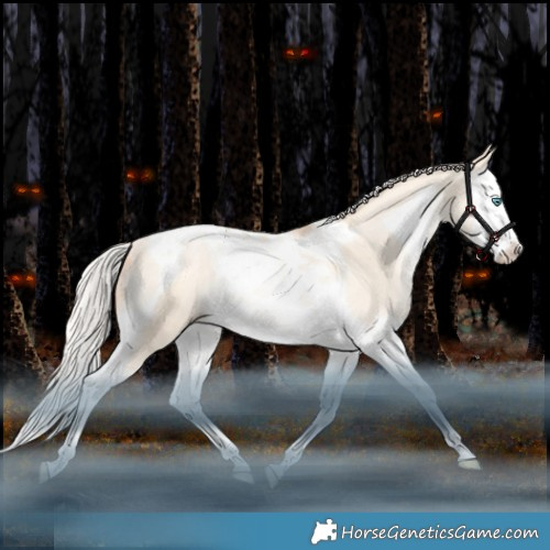Horse Color:Silver Sable Champagne Snowdrop Dun Splash Tobiano Rabicano 