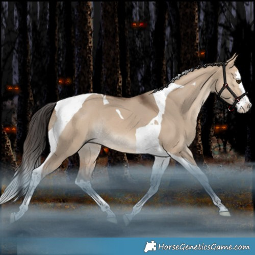 Horse Color:Bay Dun Splash Tobiano Rabicano 