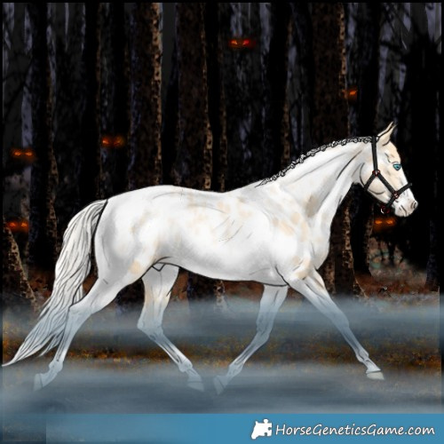 Horse Color:White Spotted Silver Bay Snowdrop Dun Tobiano Frame Appaloosa Rabicano 