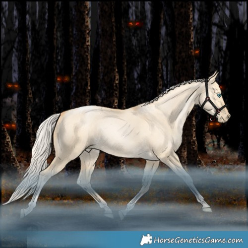 Horse Color:Silver Brown Snowdrop Pearl Dun Tobiano Rabicano 