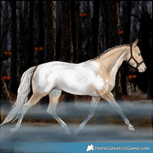 Horse Color:Gray White Spotted Silver Classic Champagne Snowdrop Pearl Tobiano Appaloosa Rabicano 
