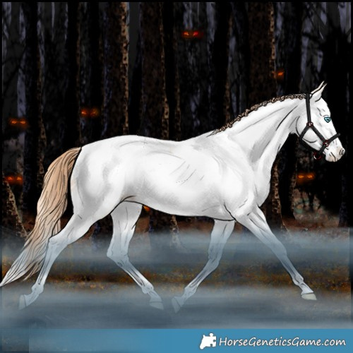 Horse Color:White Spotted Classic Champagne Snowdrop Pearl Dun Splash Tobiano Appaloosa Rabicano 