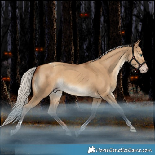 Horse Color:Gray Silver Classic Champagne Dun Tobiano Appaloosa Rabicano 