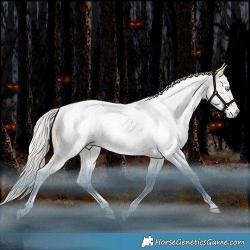 Horse Color:Silver Classic Champagne Snowdrop Dun Tobiano Appaloosa 