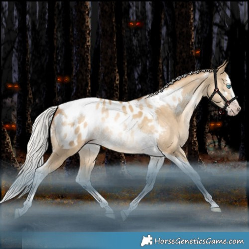 Horse Color:Gray White Spotted Silver Sable Champagne Snowdrop Pearl Splash Tobiano Appaloosa Rabicano 