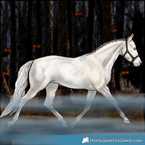 Horse Color:Silver Classic Champagne Snowdrop Pearl Dun Splash Tobiano Appaloosa Rabicano