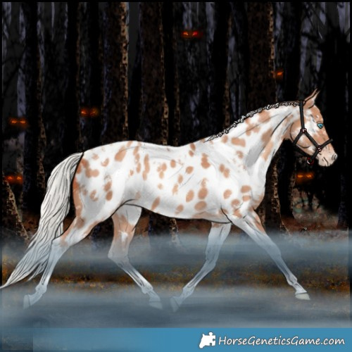 Horse Color:White Spotted Silver Sable Champagne Tobiano Appaloosa Rabicano 