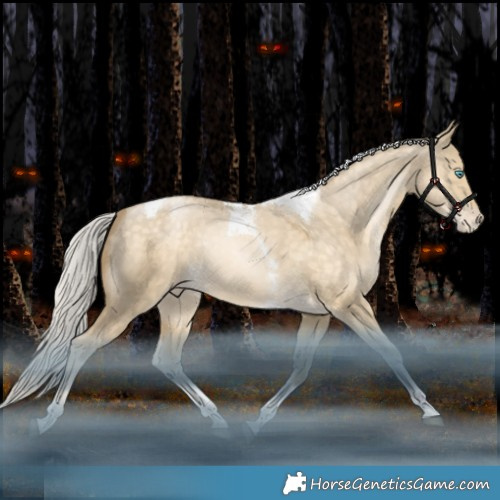 Horse Color:Silver Bay Snowdrop Pearl Dun Tobiano Appaloosa Rabicano 