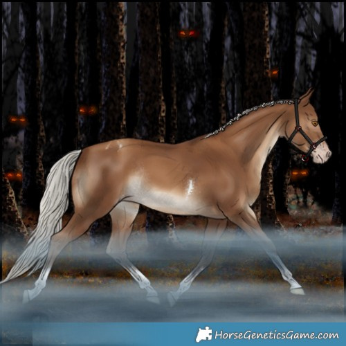 Horse Color:Gray Silver Classic Champagne Tobiano Appaloosa Rabicano 