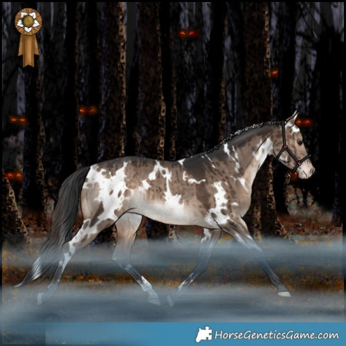Horse Color:White Spotted Brown Dun Appaloosa Rabicano Brindle